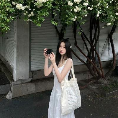 玫瑰的战争